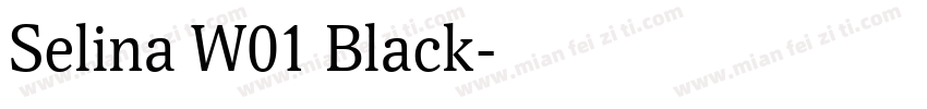 Selina W01 Black字体转换